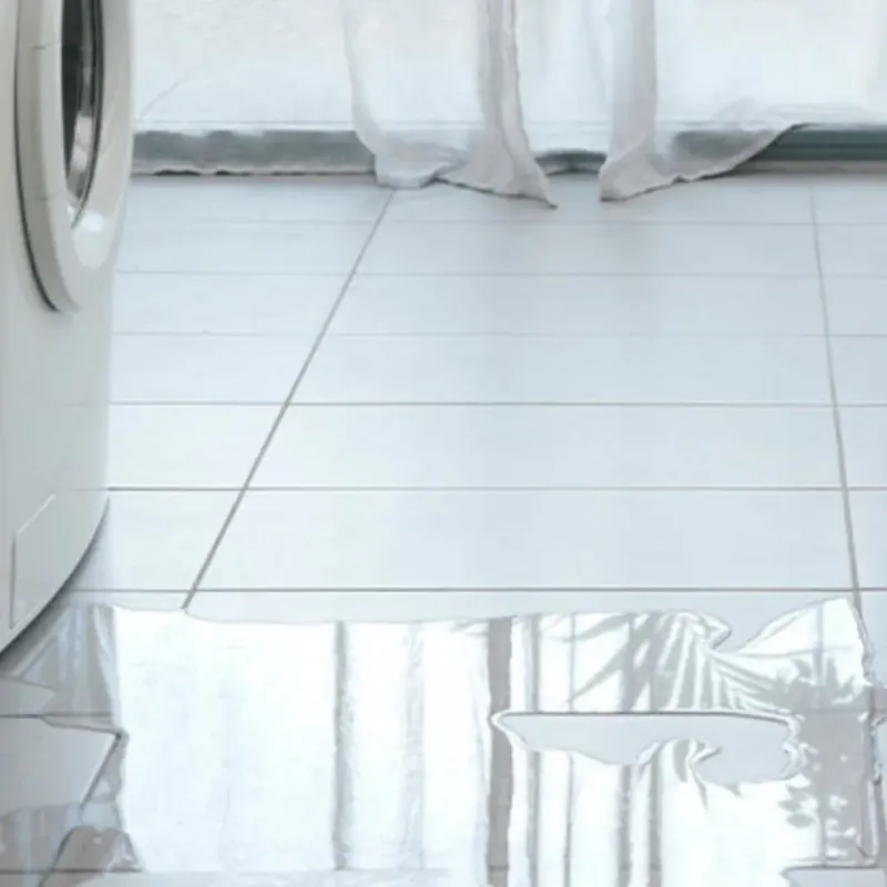 Appliance Leak Cleanup in Robinson, IL