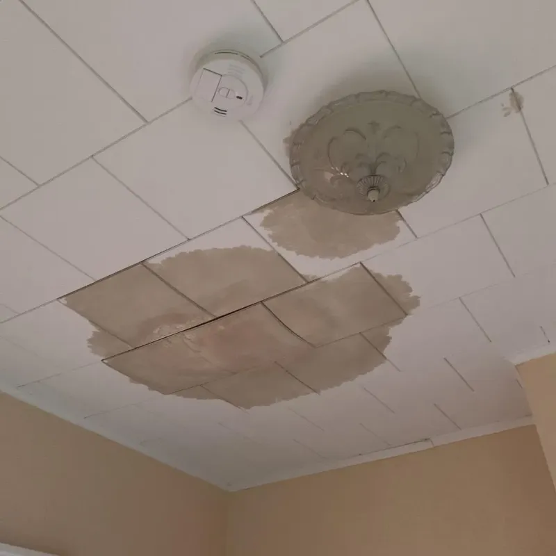 Ceiling Water Damage Repair in Robinson, IL
