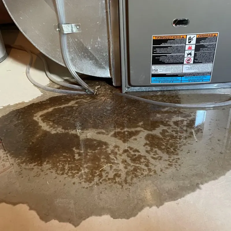 Pipe Burst and Leak Restoration in Robinson, IL